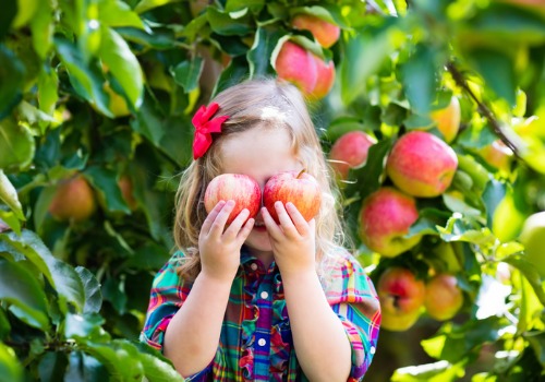A young girl enjoying apple picking and other kids activities near Peoria IL