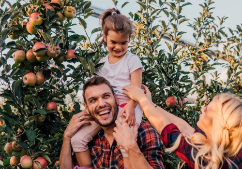 Apple Picking Farm Peru IL | Tanners Orchard | Plan a visit today