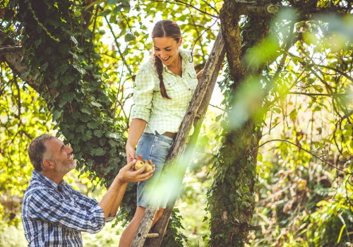 older man and a young woman picking apples 