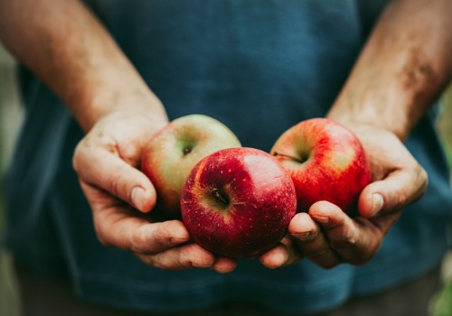 Apples from an apple orchard and corn maze near Bettendorf IA