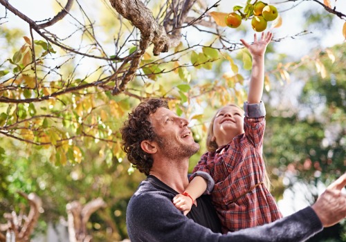 A man holds his daughter up to pick an apple during Tanners Orchard Sunflower Festival for Freeport IL