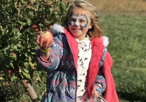 Apple Orchards Morton IL