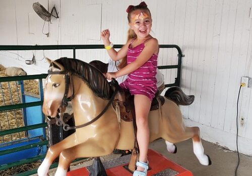 Fall Activities Aurora IL 1 A girl with her face painted rides a coin-operated horse at Tanners Orchard, which offers Fall Activities for Aurora IL residents