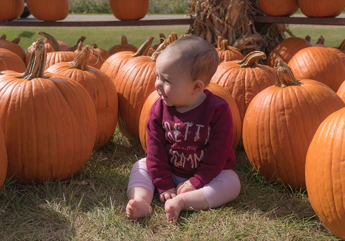 A baby is propped up between pumpkins at Tanners Orchard, which offers numerous Family Activities near Kewanee IL