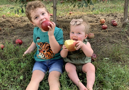 A toddler and child eat apples after going Apple Picking by Champaign IL