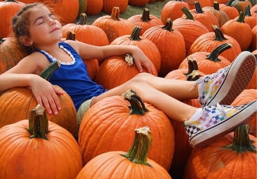 A girl lays amidst pumpkins after going Apple Picking by Champaign IL