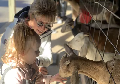 A grandmother and her granddaughter pet a goat at Tanners Orchard, which offers Birthday Parties Near Peoria IL