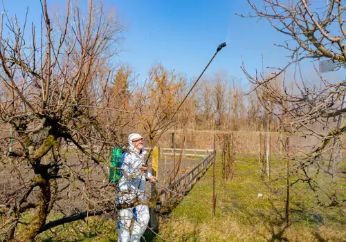 Farmer spraying apple trees to protect from disease during the off-season