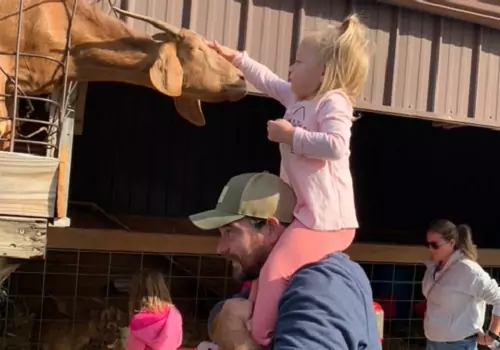 A man holds his daughter on his shoulders so she can pet a goat at Tanners Orchard, which offers Birthday Parties Near Bloomington IL