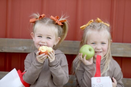 Happy little girls eating freshly picked apples at Tanners Orchard