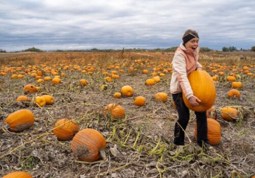 Fall Activities Ottawa IL 1 A girl grins while carries a massive pumpkin from the pumpkin patch at Tanners Orchard, which offers Fall Activities near Ottawa IL