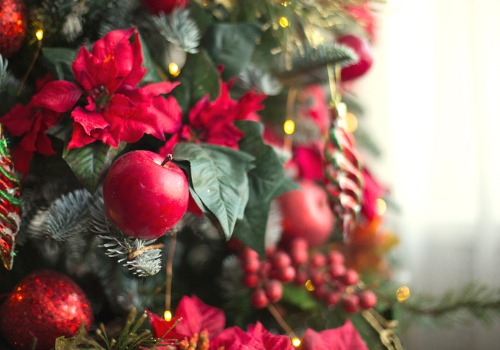 Apples for Holidays Worldwide! 2 Apples for Holidays Worldwide!