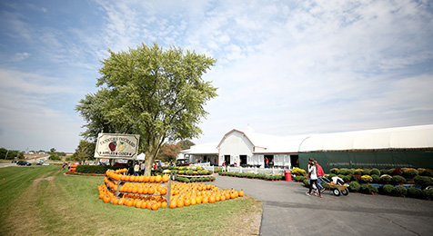 FARM MARKET