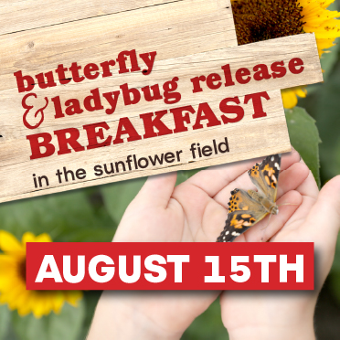 Butterfly and ladybug release breakfast at Tanners Orchard