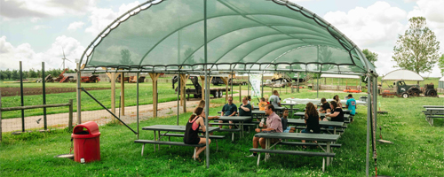 Large Group Events 